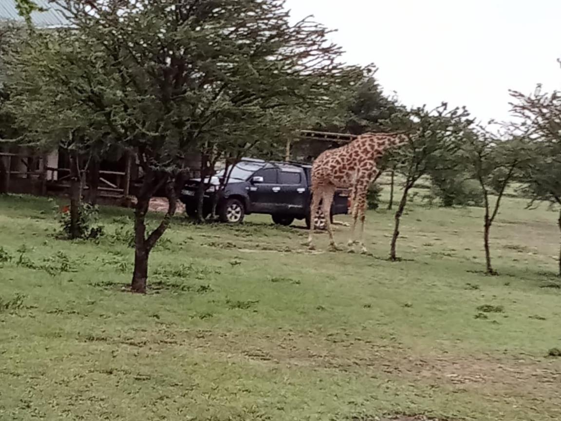 Narasha Homestay - Maasai Mara Talek Экстерьер фото
