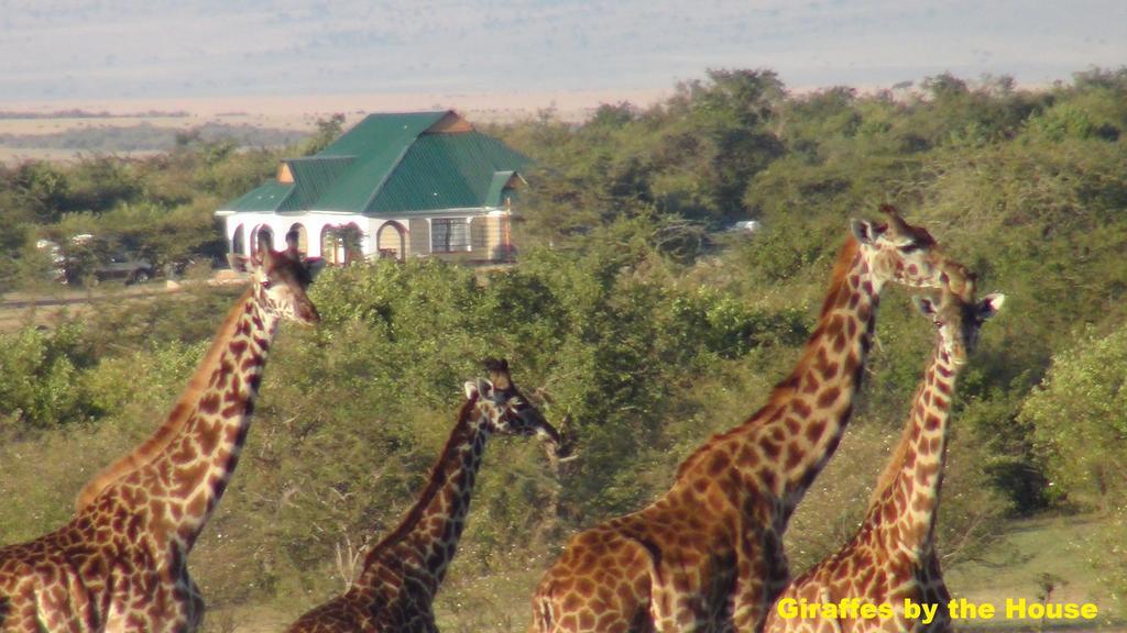 Narasha Homestay - Maasai Mara Talek Экстерьер фото
